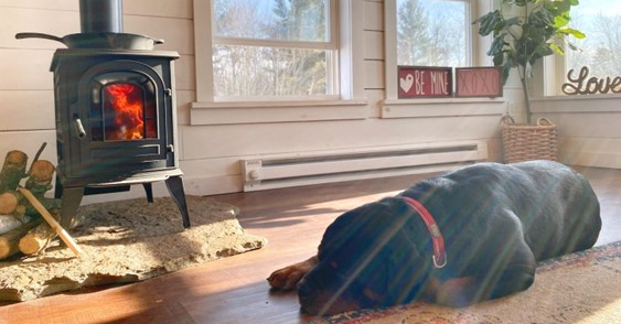 Dog sleeping in front of a Vermont Castings Aspen wood stove