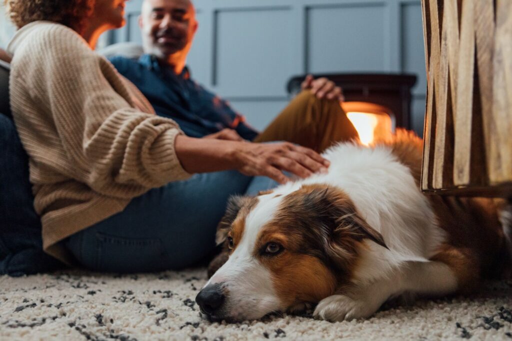 Dog being pet next to pellet stove