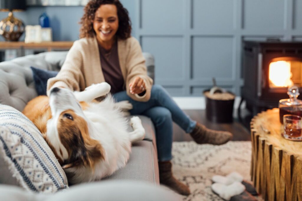 pellet stove with dog on couch