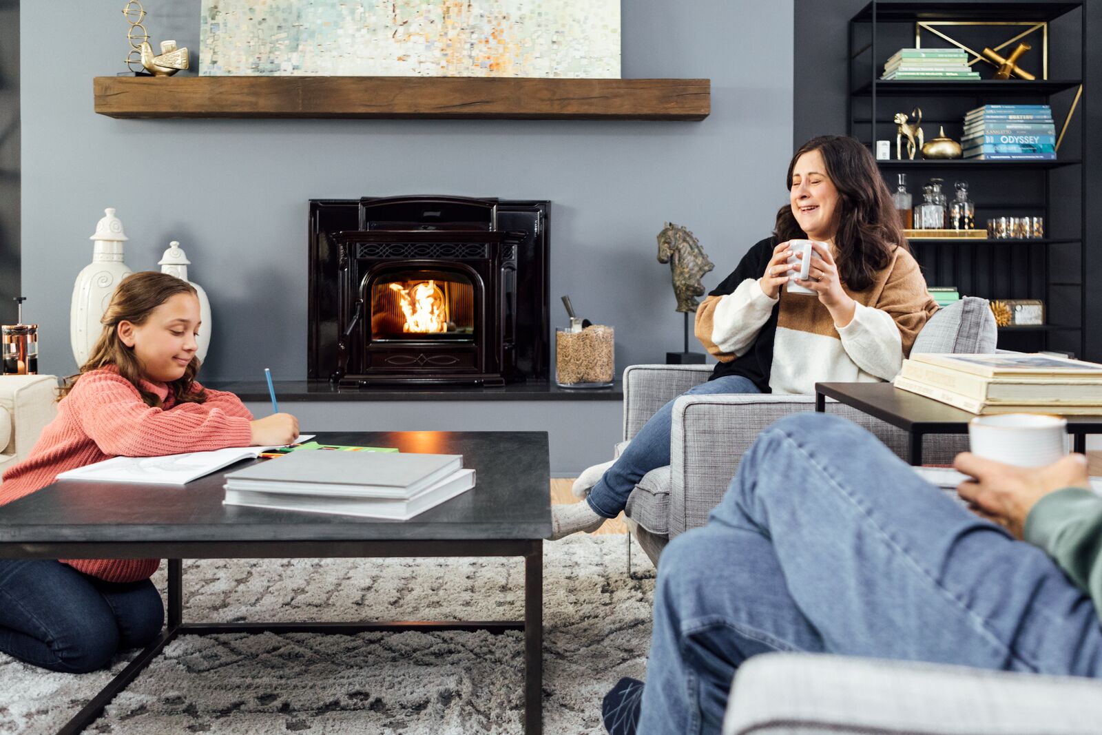 pellet fireplace insert