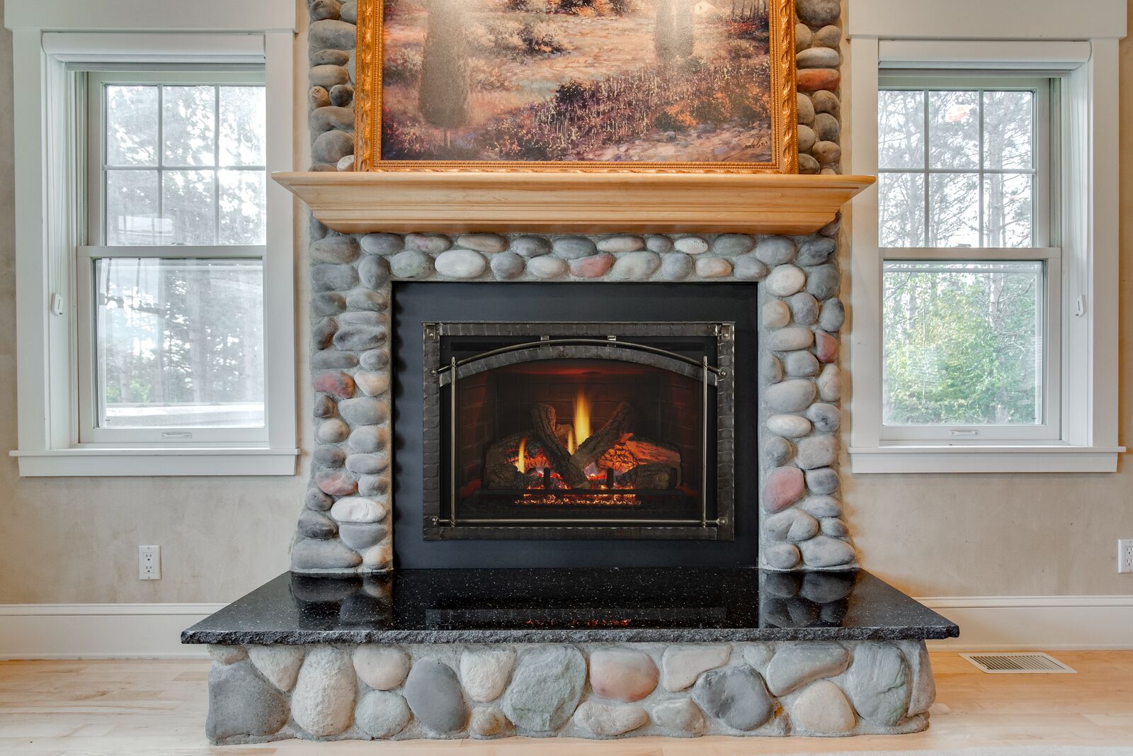gas fireplace insert