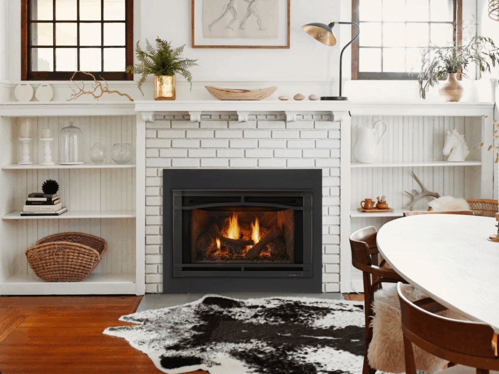 gas fireplace insert