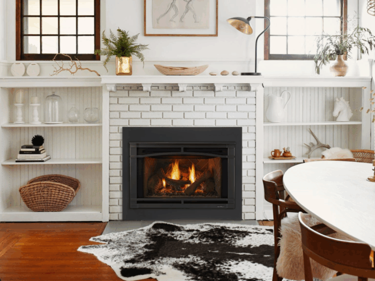 gas fireplace insert