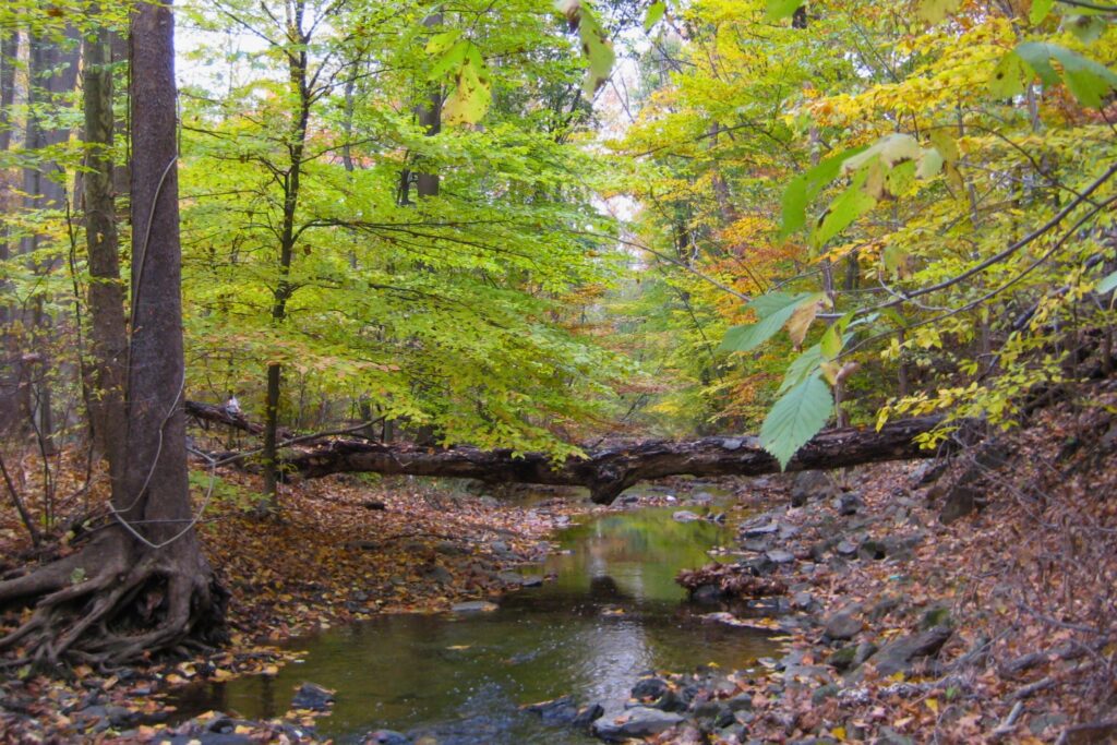 french creek pickering creek