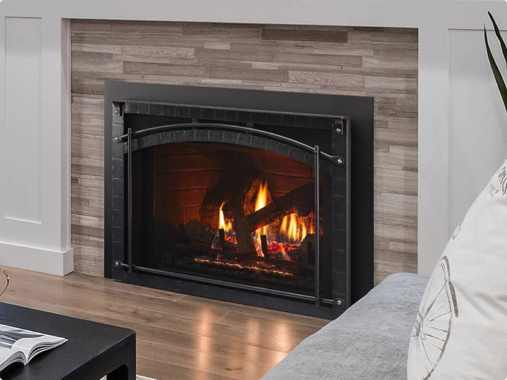 Heat & Glo Escape-35 gas insert